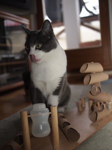 20110215_51.JPG 20110215_51.JPG