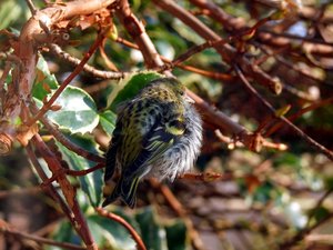 DSCF1830.JPG DSCF1830.JPG