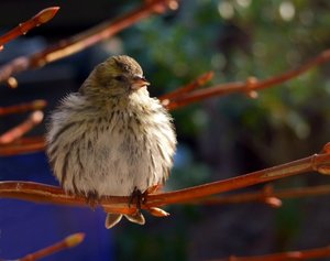 DSCF1836.JPG DSCF1836.JPG