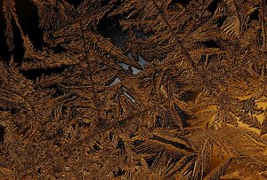 comp_comp_DSC00132_s1 Kopie.jpg