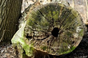 comp__D708349.jpg comp__D708349.jpg