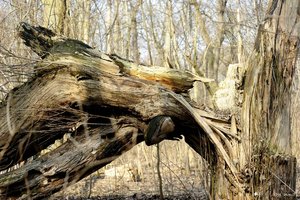 comp__D708352.jpg comp__D708352.jpg