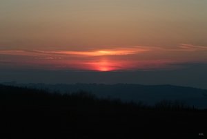 22 02 2011 SDIM1213(c) PPf.jpg