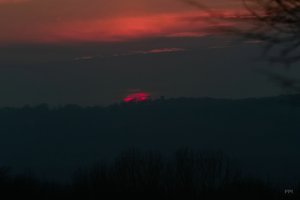 22 02 2011 SDIM1216konv(c) PPf.jpg