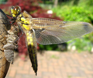 Bild 1.jpg Bild 1.jpg