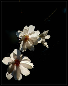 Bild 2.jpg Bild 2.jpg