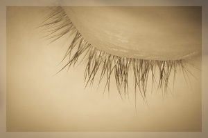 Bild 5.jpg Bild 5.jpg