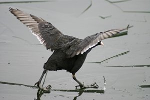 Bild 6.jpg Bild 6.jpg