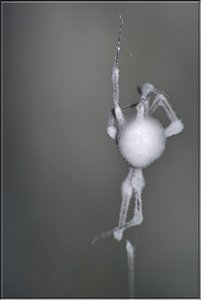 Bild 7.jpg Bild 7.jpg