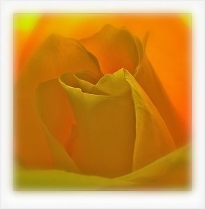 Bild 12.jpg Bild 12.jpg