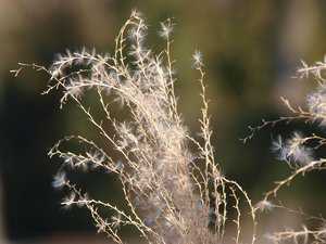 Bild 14.jpg Bild 14.jpg