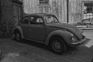 Käfer IMG07216 sw(c) PPf.jpg