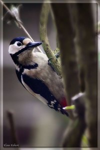 sample 22.jpg sample 22.jpg