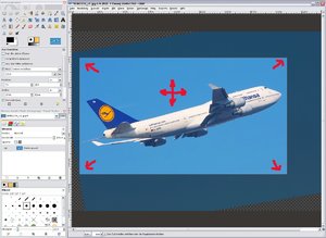 comp_xl_Zuschneiden 7.jpg