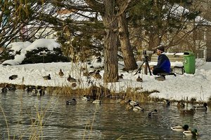 Isny 38.jpg Isny 38.jpg