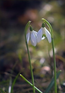 th_IMG15627 Kopie_1.jpg th_IMG15627 Kopie_1.jpg