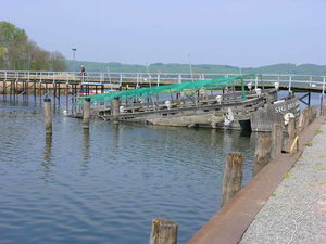 Rügen 06 _077_Bildgröße ändern.JPG