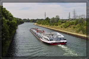 Shop-SD14 - SDIM6272.jpg