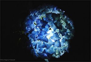 comp_IMG_9347 - Kopie.jpg