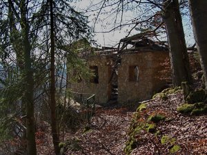 Ruine Förrenbachhaus 1.jpg