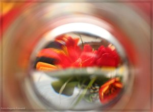 comp_IMG_9516.jpg comp_IMG_9516.jpg