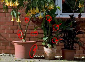 Bildschirmfoto 2011-03-11 um 22.03.44.jpg