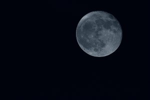 comp_SDIM1904_s3.jpg comp_SDIM1904_s3.jpg