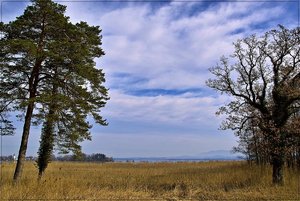 Chiemsee 47.jpg Chiemsee 47.jpg