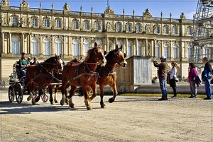Chiemsee 50.jpg Chiemsee 50.jpg