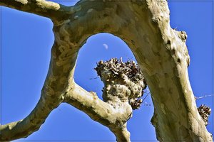 Chiemsee 66.jpg Chiemsee 66.jpg