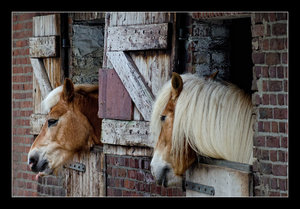 DSC_7075.jpg DSC_7075.jpg