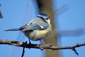 tarn_DSC1046.jpg tarn_DSC1046.jpg