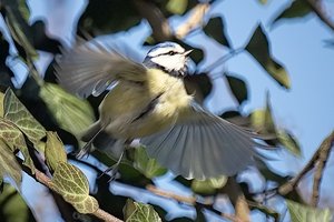 tarn_DSC1049.jpg tarn_DSC1049.jpg