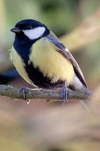 tarn_DSC1065.jpg tarn_DSC1065.jpg