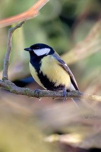 tarn_DSC1066.jpg tarn_DSC1066.jpg