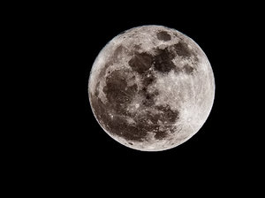 SDIM4612_1 Kopie.JPG