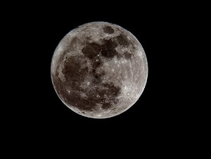 SDIM4613_1 Kopie.JPG