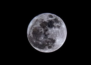 SDIM4616_1 Kopie.JPG