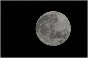 mond01.jpg