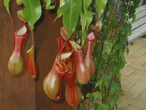 Park der Gärten _44.jpg