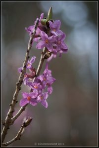 1shot1moment@bilderforum1.jpg 1shot1moment@bilderforum1.jpg