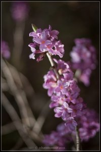 1shot1moment@bilderforum2.jpg 1shot1moment@bilderforum2.jpg