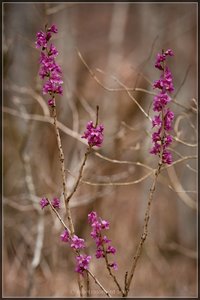 1shot1moment@bilderforum3.jpg 1shot1moment@bilderforum3.jpg