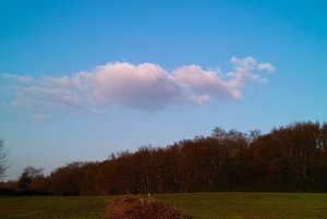 Tonwertabrisse durch Grünpixel 27 03 2011 SDIM1868  SD15 + Pentacon 3,5 30mm sonne(c) PPf.jpg