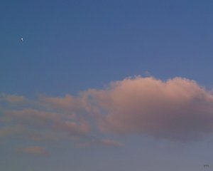 Tonwertabrisse durch Grünpixel 27 03 2011 Ausschnitt linke Ecke aus dem unbearbeitetem X3F(c) PP.jpg