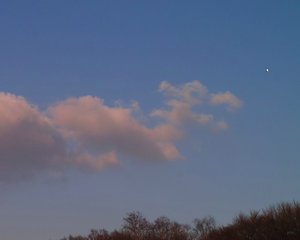 Tonwertabrisse durch Grünpixel 27 03 2011 Ausschnitt rechte Ecke aus dem unbearbeitetem X3F(c) P.jpg