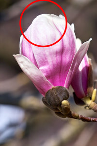 IMG02426 Kopie_2.JPG