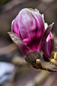 IMG02426 Kopie_3.JPG