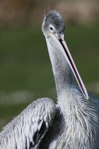 sample 13.JPG sample 13.JPG