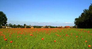 comp4SDIM5836_FULL Kopie.jpg